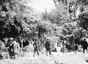 Bukarest: Spaziergänger von seitlich, im Cixmigiu, Lilien