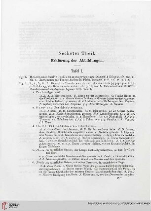 Sechster Theil: Erklärung der Abbildungen