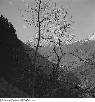 Blick in ein Tal mit Bäumen in den Alpen