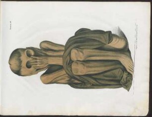 Lámina IV. : Litografía del instituto litográfico de D. Leopoldo Müller en Viena