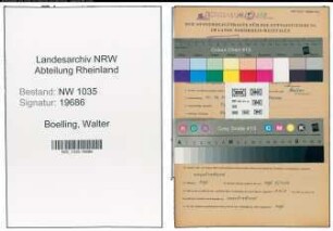 Entnazifizierung Walter Boelling , geb. 26.10.1910 (Revisor)