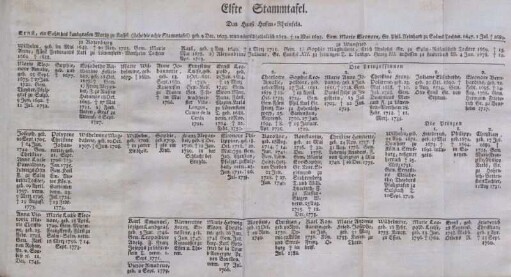 Elfte Stammtafel. Das Hauß Hessen-Rheinfels.