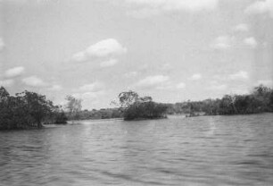 Im Creek von Manasati : Blick von einem Boot aus auf den Priel des Manasati