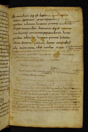 Excerpta didactica, praecipue grammatica