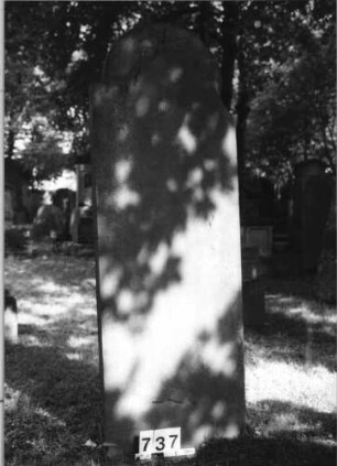 Grabstein 737 (Index: 99630239) Material: Sandstein Zustand: leicht verwitt/rechts oben abgebrochen Maße HxBxT: 168x59x7 cm Beschreibung: Stele mit eingezogenem Rundbogenabschluß: Grabstein 737
