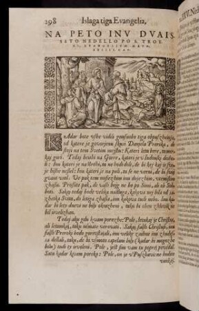 298-317, Na peto inu dvaisseto nedello po S. Troyzi, evangelium Math. XXIII. cap. - Na sedmo inu dvaisseto nedello po S. Troyzi, evangelium Math. Na v. cap.