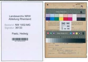 Entnazifizierung Hedwig Paetz , geb. 16.11.1916 (Angestellte)