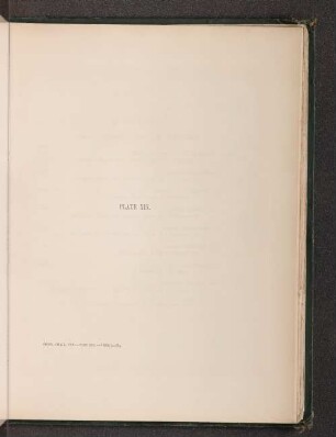 Plate XIX.