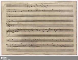 Coro: Chi sa dir che fu d'Amore