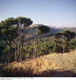 Libanon: Landschaft im Libanon