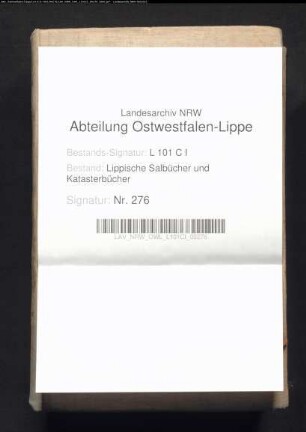 Salbuch der Vogtei Hohenhausen von 1824, Bd. 3 (Duplikat)