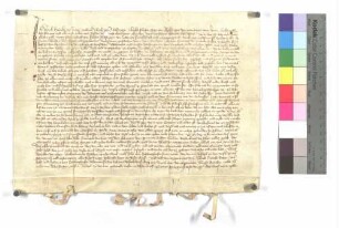 Uolrich Haucke der Jüngere und Uolrich von Alfingen (Ahelfingen) bestätigen die Schenkung ihres Oheims Uolrich von Hohenalfingen (Hohenahelfingen) an das Kloster der niederen Brüder zu Gmünd, nämlich des Hofes zu dem Haisenberg zwischen Affalterried und Wasseralfingen (Wasserahelfingen) zur Haltung von vier jährlichen Vigilien und Seelenmessen; werden letzere nicht gehalten, so fällt der Hof dem Spital Gmünd anheim.