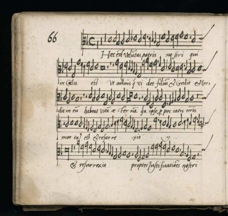 66. Haec est voluntas patris nostri