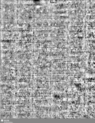 Lilienschild + IESV / LW = Bd.2, S.47/48