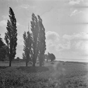 Sommerlandschaft