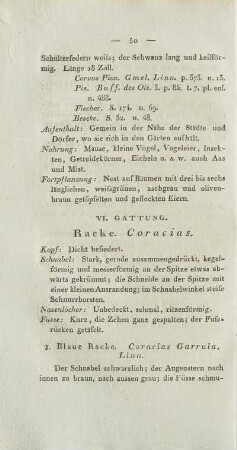 VI. Gattung. Racke. Coracias