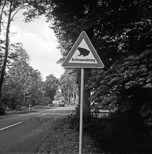 Neuenteich: Landesstraße L 82 Richtung Bargfeld: vorn Mitte Verkehrsschild zu Krötenwanderung: dahinter Büsche: rechts und links am Straßenrand Bäume: hinten Lkws
