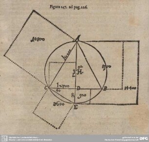 Figura 147. ad pag. 226.