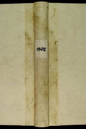 Ratsprotokolle, 1802 29. Juli - 19. Nov.