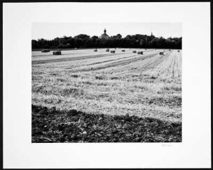 Foto, Hürth