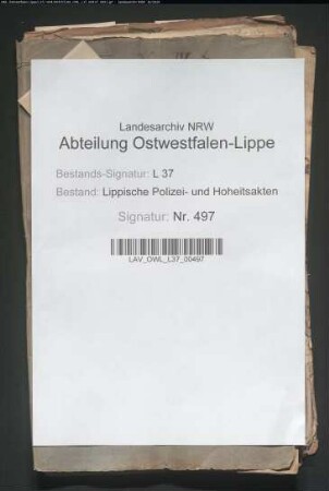 Hessen-Kasselsche fahrende Post durch Lippe