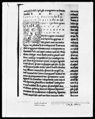 Homilien — Initiale D, Folio 33recto