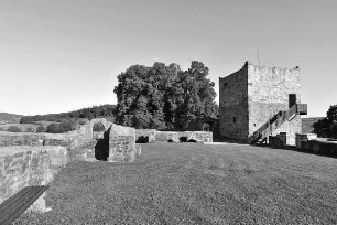 Ruine Wartenbach (Burg); Wartenberg, Wartenbach