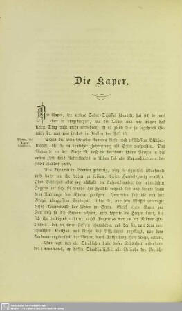 Die Kaper