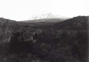 Kilimandscharo. Blick zum Kibo : Deutsch-Ostafrika (heute: Tansania). Kilimandscharo. Kibo (5896 m) von der Mbassahöhle (3700 m; alpine Stufe). Blick von Südsüdwest, um 1888