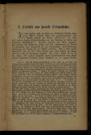 I. Ortsbild und specielle Ortsgeschichte. - VIII. Das Rittergut.