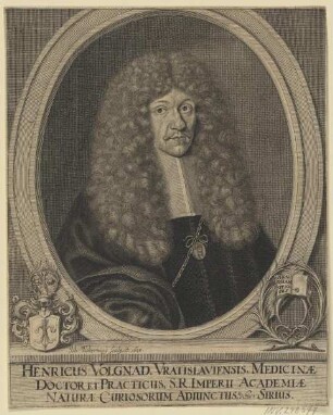 Bildnis des Henricus Volgnad