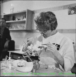 Laborarbeit im Institut für Strahlenbiologie (IStB)