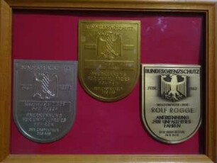 Plakette für BGS-Kraftfahrer Unfallfreies Fahren 3-tlg.