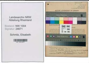 Entnazifizierung Elisabeth Schmitz , geb. 12.11.1882 (Kauffrau)