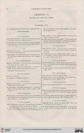 Chapitre VI: Princes et rois de Judée