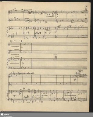III - Allegro leggiero e animato