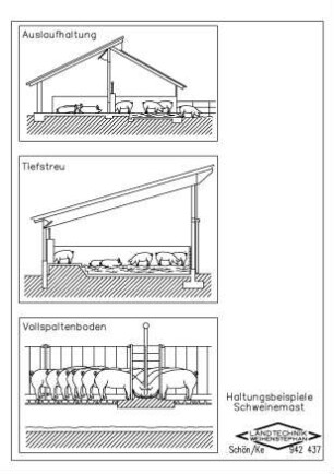 Haltungsbeispiele Schweinemast