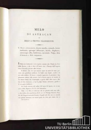 Melo di Astracan o Melo a frutto trasparente