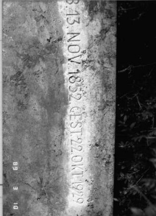 Grabstein 27 (Index: 100093989) Maße HxBxT: 139x139x26 cm Symbolik: Davidstern Besonderheit: Doppelgrab: Grabstein 27D
