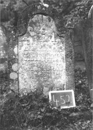 Grabstein 452 (Index: 99895626) Material: Sandstein Zustand: stark bewachsen Maße HxBxT: 124x67x10 cm Beschreibung: Stele mit eingezogenem Rundbogenabschluss: Grabstein 452 (1)