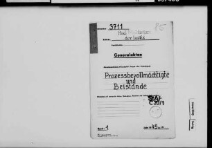 Prozessbevollmächtigte und Beistände
