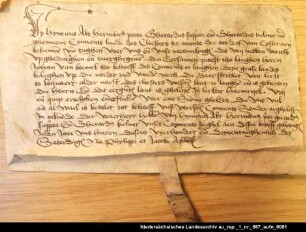 Das Kloster Termünten verkauft dem Kloster Langen Grundbesitz im Larrelter Hammrich = OUB II, Nr. 1358, S. 385 Anhängendes Siegel beschädigt erhalten