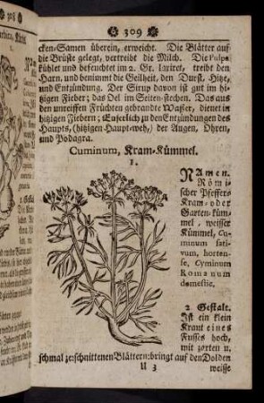 309-320, Cuminum - Cymbalaria