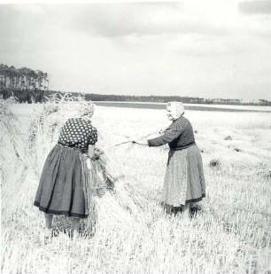 Frauen bei der Feldarbeit : Kleidung - Schleifer Tracht. Ort: Slepo / Schleife. Frauen in Arbeitstracht der Schleifer Region bei der Feldarbeit.