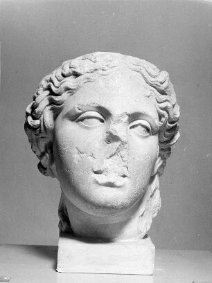 Artemiskopf : Artemiskopf. Marmor (146/155). Klagenfurt: Landesmuseum für Kärnten, Provinzialrömische Archäologie, Inventar-Nr. 295