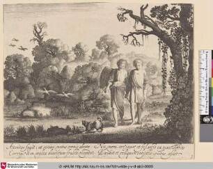 [Tobias und der Engel; Tobias and the Angel]