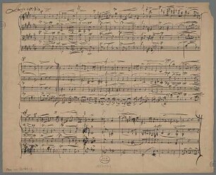 Quartets, vl (2), vla, vlc, Excerpts. Sketches. Fragments - BSB Mus.ms. 23144-3 : [caption title:] Largo espressivo