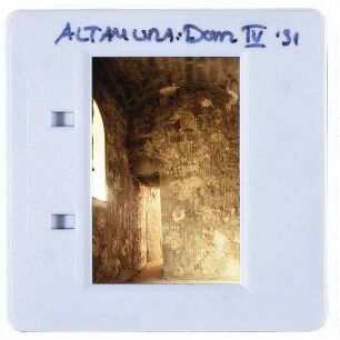 Altamura, Dom S. Maria Assunta : Empore