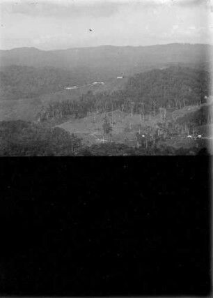 "Waldlandschaft mit Plantage im Mittelgrund (halbe Platte)"