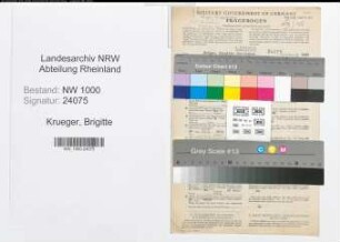 Entnazifizierung Brigitte Krueger, geb. 07.04.1913 (Dolmetscher)
